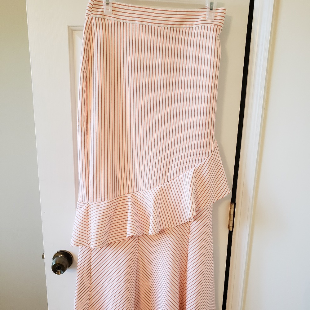 Size 12, pinstripe, long, Eva Mendes skirt